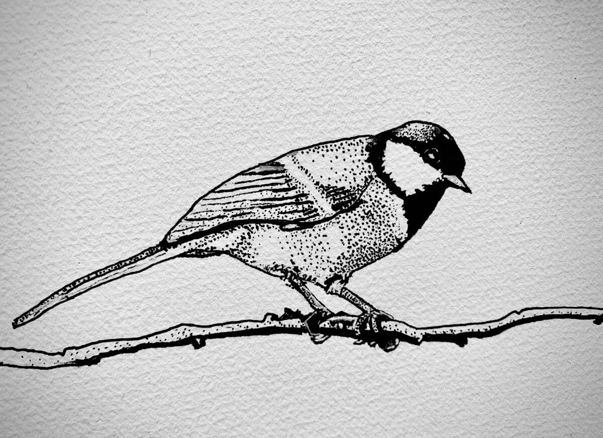 Bird - 7x5 watercolor paper, Ink - 2024