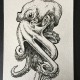 Ink drawing of an octopus.
